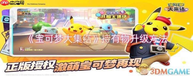 《宝可梦大集结》攻略——持有物升级方法