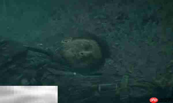 死亡搁浅2boss全图鉴攻略打法 boss图鉴大全