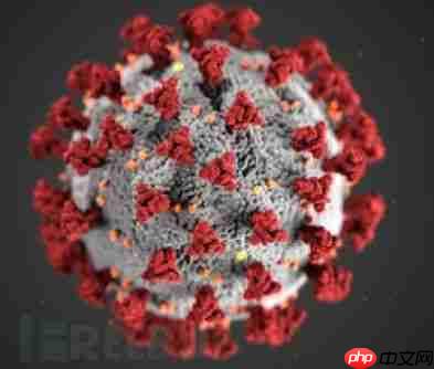 COVID-22是假，破坏MBR是真