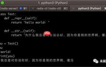 【一日一技】揭秘字符串的两副“面孔”