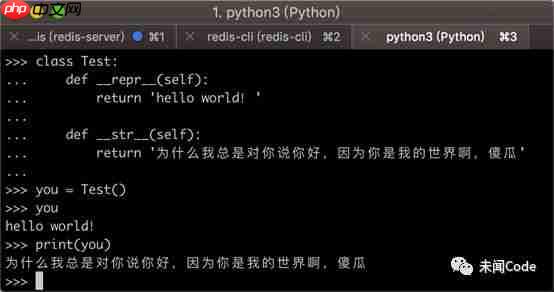 【一日一技】揭秘字符串的两副“面孔”