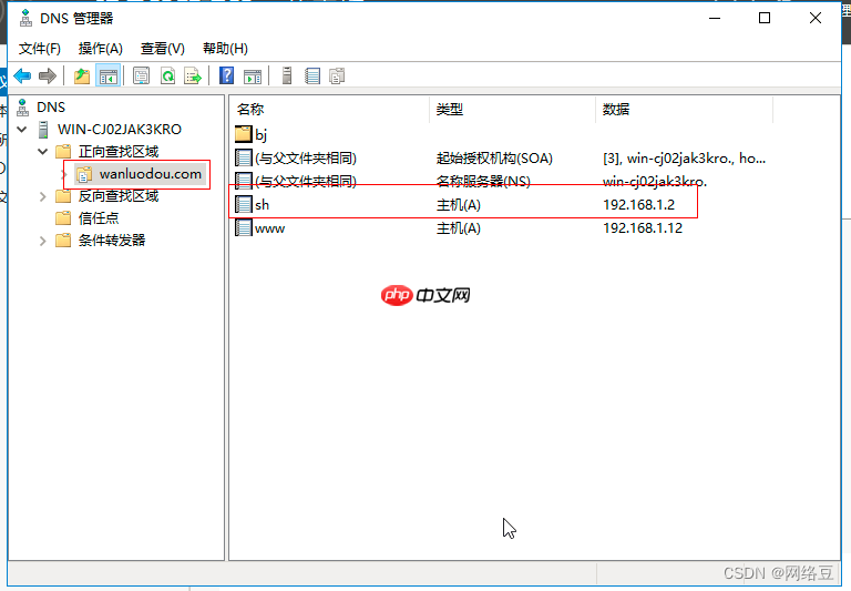 Windows server——部署DNS服务(3)