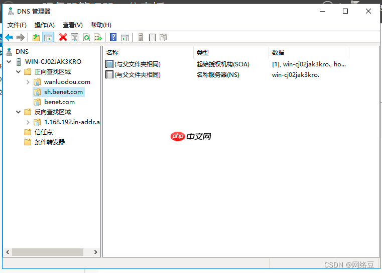 Windows server——部署DNS服务(3)