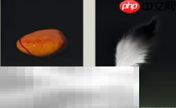 燕云十六声商人每周必买是什么 世界商店每周必买攻略