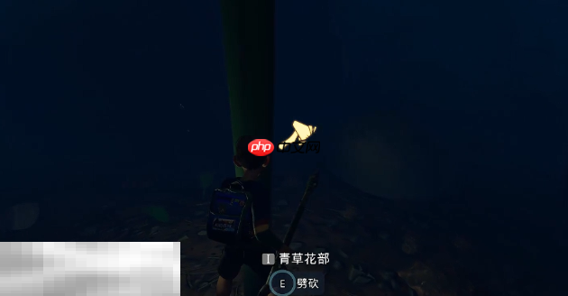 禁闭求生2草籽怎么得 草籽获取指南