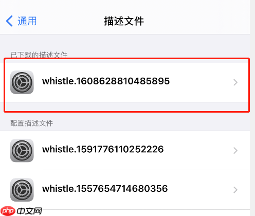 Whistle 配置 https 抓包