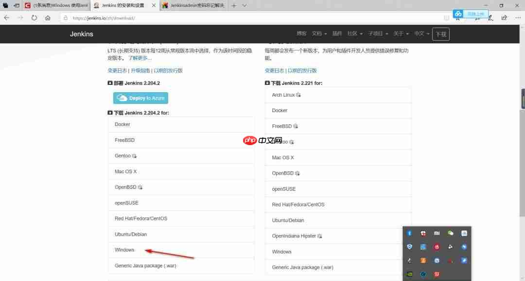 在Windows上安装Jenkins