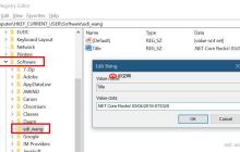 .NET Core 读写Windows注册表