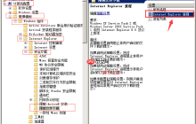 windows server 2008 阻止恶意插件程序下载安装到系统中