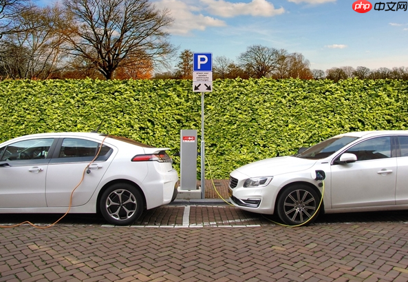 专家批评部分电池企业 不重视研发质量热衷价格战