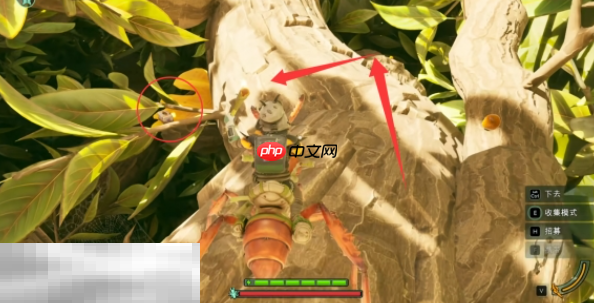 禁闭求生2弓箭巡林者在哪 远程武器巡林者获取路线