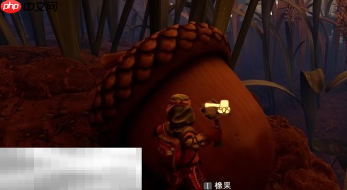 禁闭求生2橡果怎么得 橡果获取位置一览