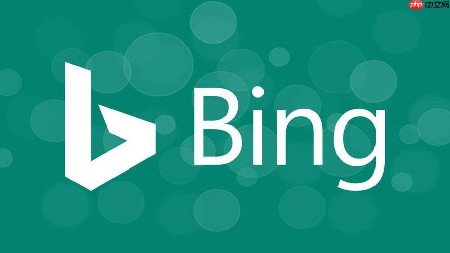 bing搜索浏览器在线快速体验 bing搜索引擎全球链接地址解析