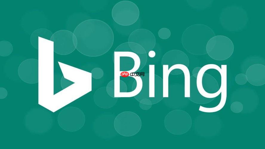 如何利用bing浏览器在线搜索 bing搜索引擎精准查询功能介绍