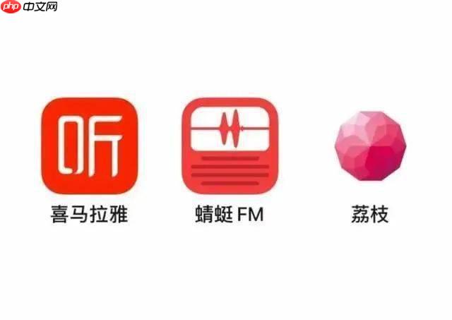 怎么看蜻蜓fm购买会员_会员购买记录查询方法