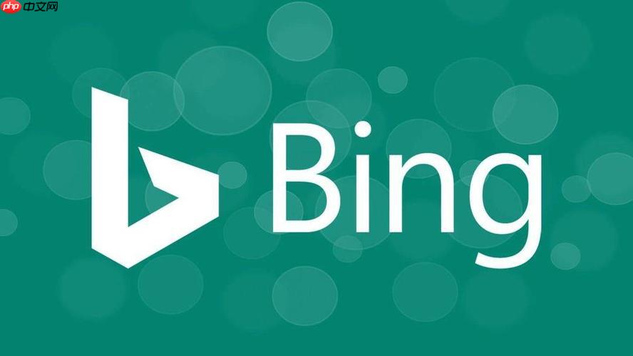 使用bing在线浏览器搜索方法 bing搜索引擎高效信息查询教程