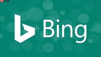 使用bing在线浏览器搜索方法 bing搜索引擎高效信息查询教程