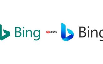 Bing Search Browser Online -Betriebskenntnisse Bing Suchmaschinenverbindungsadresse Praktische Freigabe