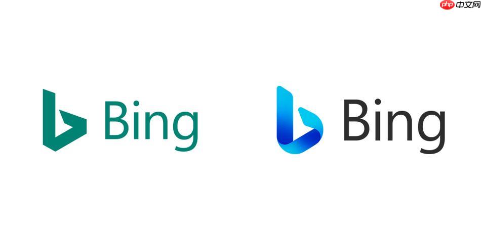 bing在线浏览器搜索高效方法 bing搜索引擎全球查询功能解析