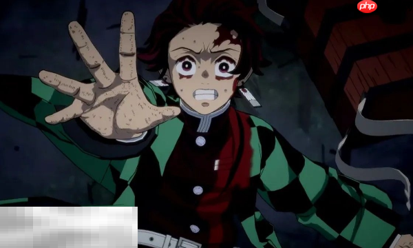 鬼灭之刃火之神血风谭2正版分流是什么 游戏文件下载说明