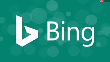 掌握bing在线浏览器搜索功能 bing搜索引擎高效查询技巧解析