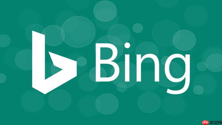 bing搜索浏览器在线使用攻略 bing搜索引擎链接地址一键获取