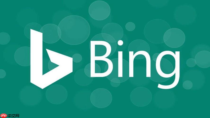 bing搜索浏览器在线使用攻略 bing搜索引擎链接地址一键获取