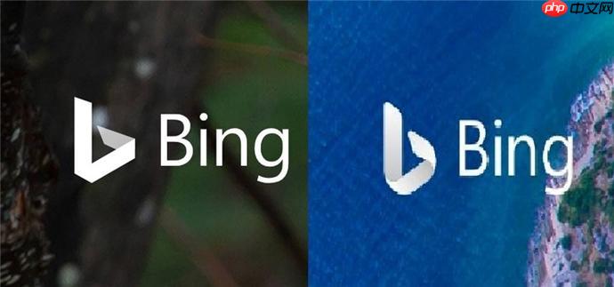 如何优化bing浏览器在线搜索 bing搜索引擎全球检索功能详解