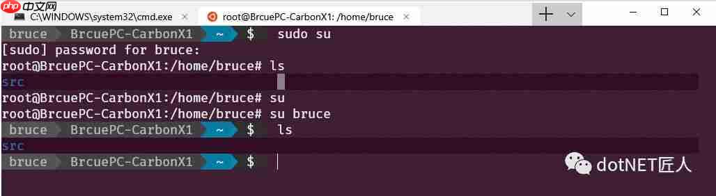 黑科技抢先尝(续) - Windows terminal中WSL Linux 终端的极简美化指南