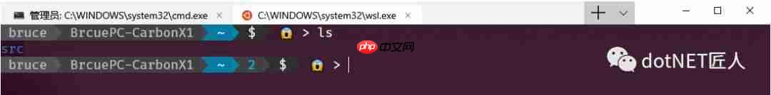 黑科技抢先尝(续) - Windows terminal中WSL Linux 终端的极简美化指南