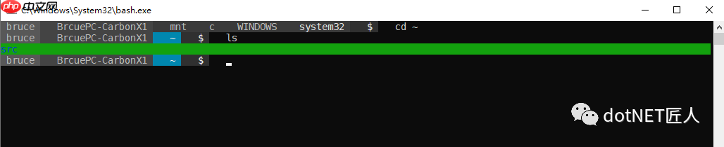 黑科技抢先尝(续) - Windows terminal中WSL Linux 终端的极简美化指南