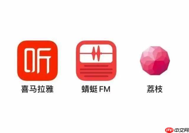电脑版蜻蜓FM怎么收听直播_PC端直播收听操作方法