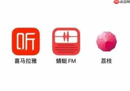 蜻蜓FM配音如何赚钱-接单流程与技巧分享
