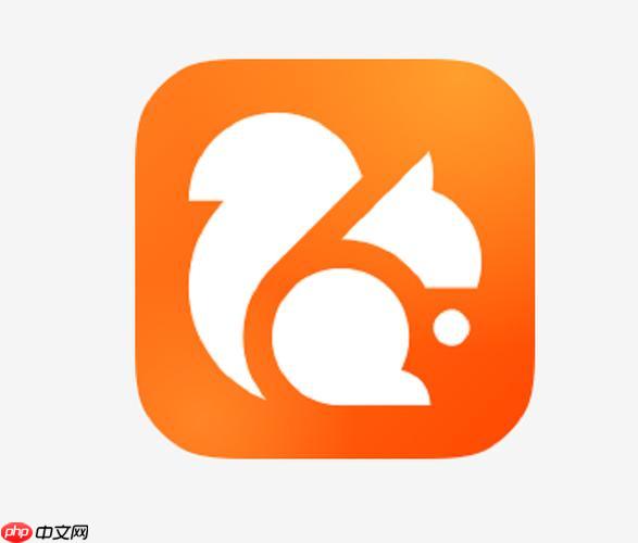 UC浏览器高效进入-UC浏览器在线访问地址