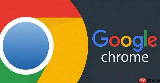 谷歌浏览器闪退问题修复-Google浏览器闪退错误解决方法