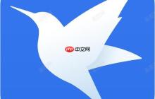iOS怎么用迅雷APP_苹果设备使用迅雷的限制与替代方案