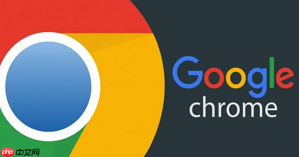 谷歌浏览器500错误解决-Google浏览器500问题修复教程