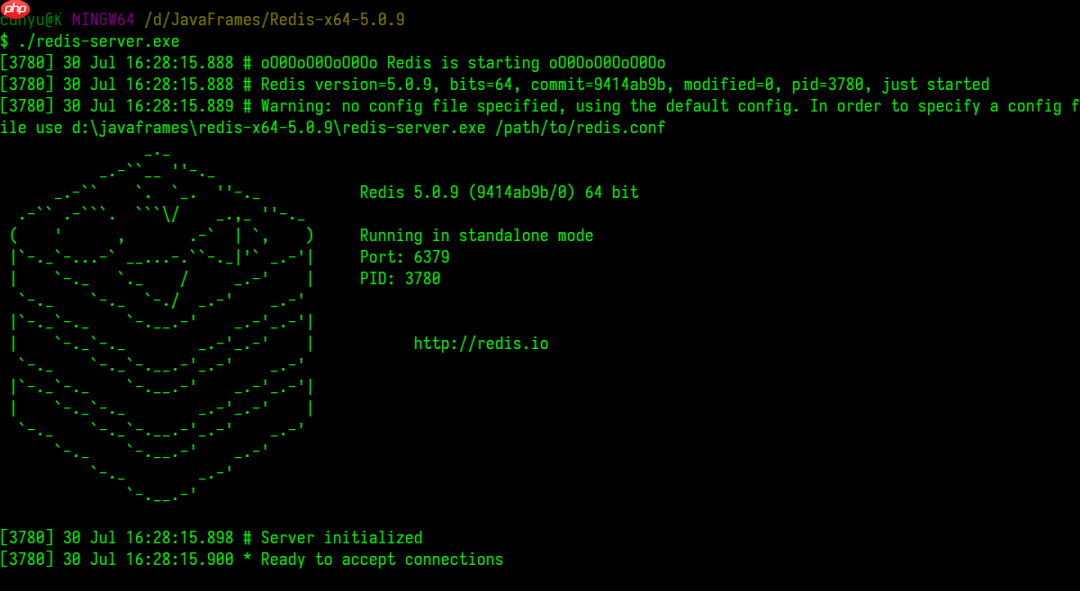 NoSQL 这么火，快来看看这份 Redis 简介