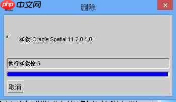 oracle 11g如何完全卸载
                                                                            原