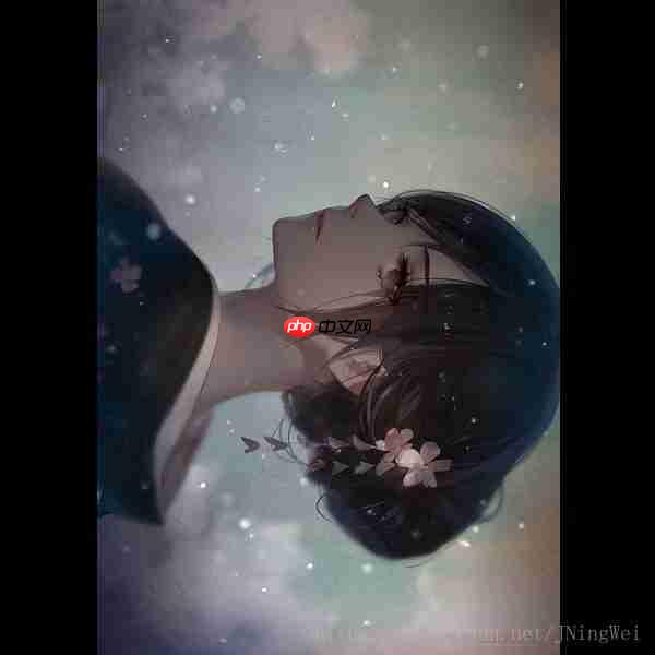 图像处理: 无损地旋转图像