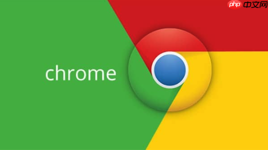 谷歌浏览器隐私模式错误-Google浏览器隐私问题解决步骤