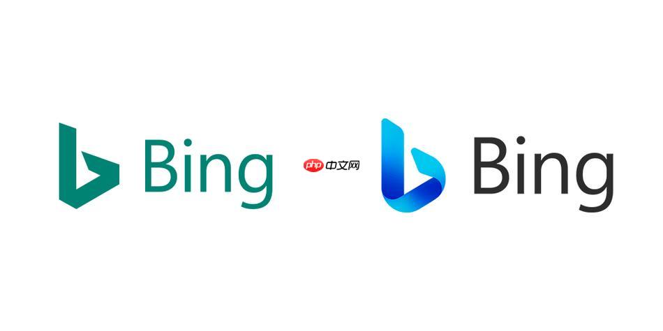 bing浏览器在线搜索功能解析 bing搜索引擎全球链接使用攻略
