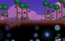 醉仙女的酒馆：泰拉瑞亚肉后最强增益与致命代价全解析