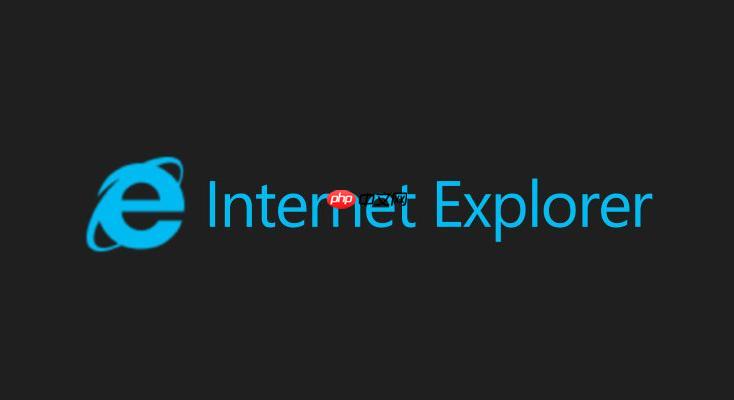 ie浏览器官方网页版入口-ie浏览器绿色版一键登录