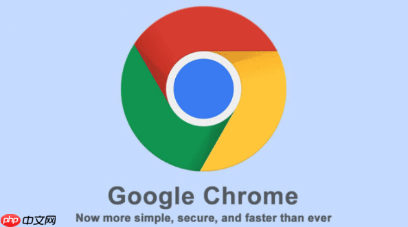 谷歌浏览器高效网页登录入口-谷歌网页版入口快速打开