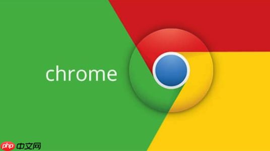 谷歌浏览器页面加载失败-Google浏览器加载问题修复步骤