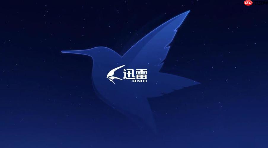 迅雷网盘手机APP怎么使用_迅雷网盘手机端功能使用完整指南