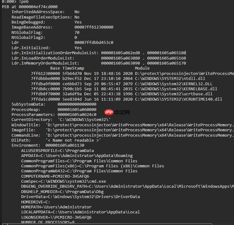 RedTeamTips--PEB隐藏
