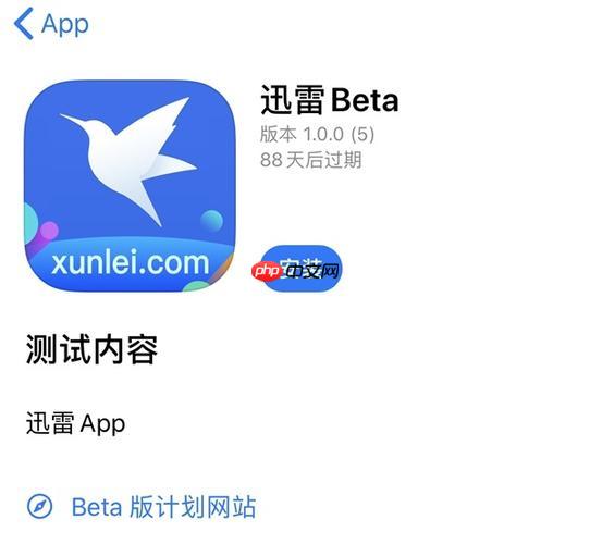 APP怎么下迅雷_手机应用商店搜索与下载流程
