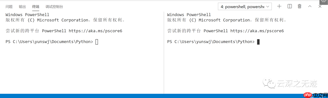 VS Code(​终端)